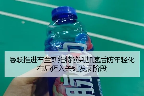 man-lian-tui-jin-bu-lan-si-wei-te-tan-pan-jia-su-hou-fang-nian-qing-hua-bu-ju-mai-ru-guan-jian-fa-zhan-jie-duan-2-356.jpg